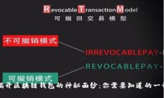 揭开区块链钱包的神秘面纱：你需要知道的一切