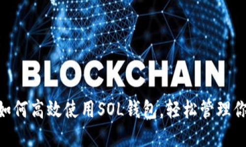 全面解读：如何高效使用SOL钱包，轻松管理你的SOL资产