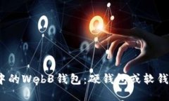 探秘欧意中的Web3钱包：硬钱包或软钱包的选择？