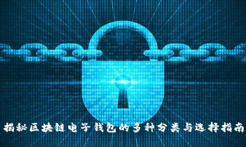 揭秘区块链电子钱包的多种分类与选择指南