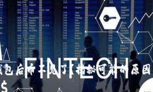 私钥导入钱包后币不见了？揭秘可能的原因与解决方法