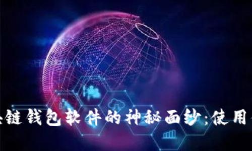 : 揭开国内区块链钱包软件的神秘面纱：使用体验与选择指南