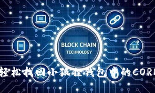 如何轻松找回小狐狸钱包中的CORE资产