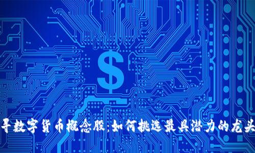探寻数字货币概念股：如何挑选最具潜力的龙头股