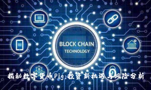 揭秘数字货币Pig：投资新机遇与风险分析