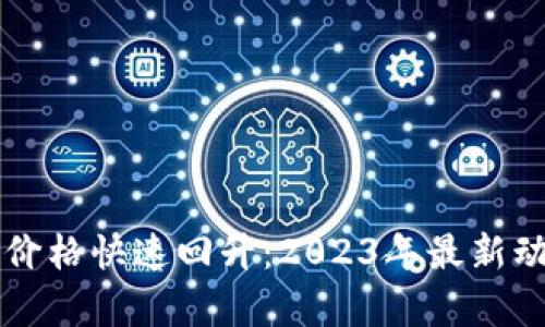 以太坊价格快速回升：2023年最新动态解析