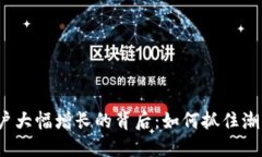 加密钱包用户大幅增长的背后：如何抓住潮流、