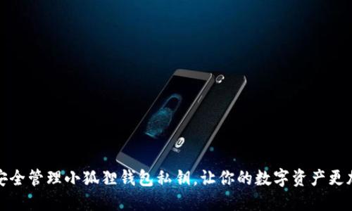 如何安全管理小狐狸钱包私钥，让你的数字资产更加安全