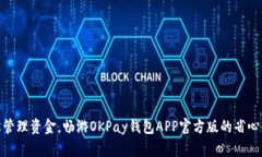 轻松管理资金，畅游OKPay钱包APP官方版的省心体验