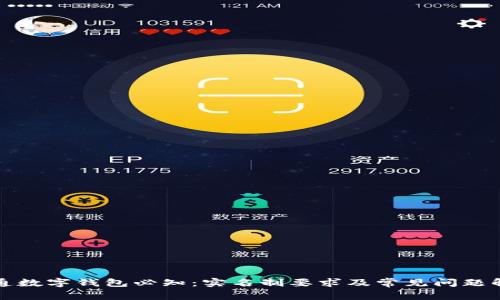 开通数字钱包必知：实名制要求及常见问题解答