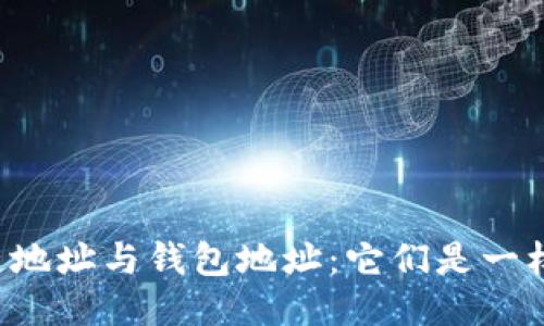 区块链地址与钱包地址：它们是一样的吗？