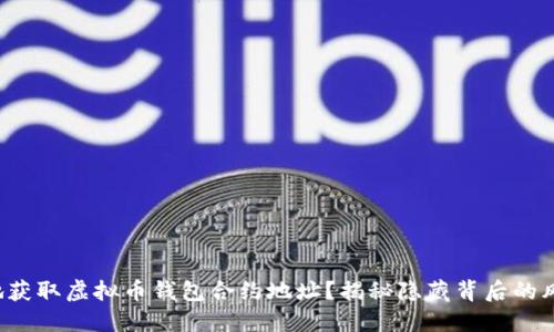 如何安全地获取虚拟币钱包合约地址？揭秘隐藏背后的风险与技巧！