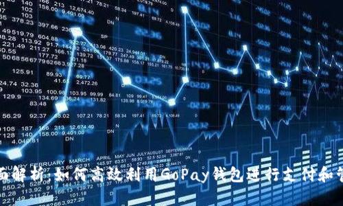 全面解析：如何高效利用GoPay钱包进行支付和管理