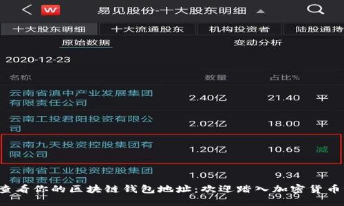 轻松查看你的区块链钱包地址：欢迎踏入加密货币世界！