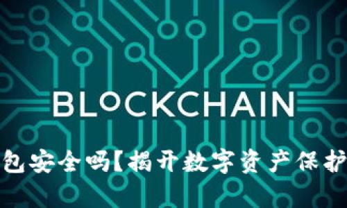 数字货币钱包安全吗？揭开数字资产保护的真实面纱