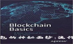 揭开国际数字钱包的神秘面纱：流行符号与背后