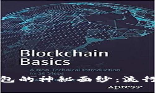 揭开国际数字钱包的神秘面纱：流行符号与背后故事