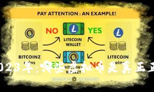 探寻2023年：哪些虚拟币是真正正规的？