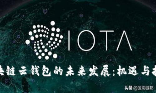 探索区块链云钱包的未来发展：机遇与挑战并存