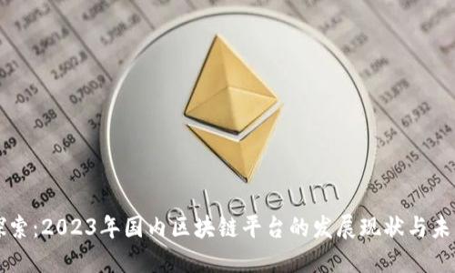 深入探索：2023年国内区块链平台的发展现状与未来潜力