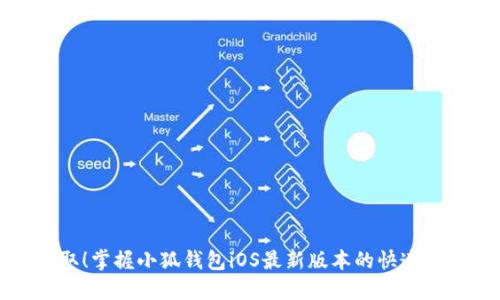 轻松获取！掌握小狐钱包iOS最新版本的快速下载技巧