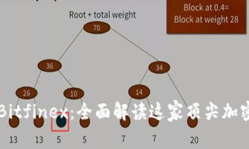 深入探索Bitfinex：全面解读这家顶尖加密交易平台