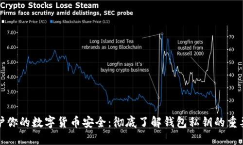 保护你的数字货币安全：彻底了解钱包私钥的重要性