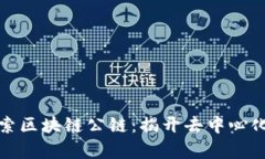 深入探索区块链公链：揭开去中心化的奥秘