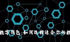 探索最近发布的数字钱包：如何选择适合你的数