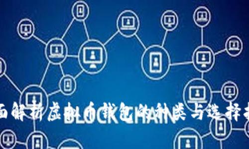全面解析虚拟币钱包的种类与选择指南
