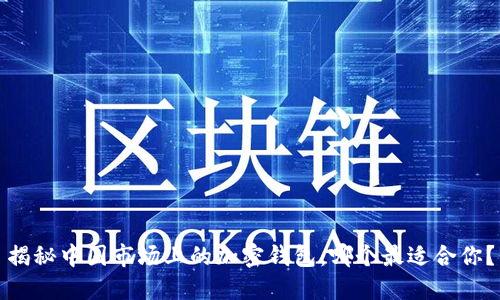 揭秘中国市场上的加密钱包：哪个最适合你？