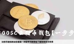 如何选择和使用区块链100SC云储币钱包？一步步带