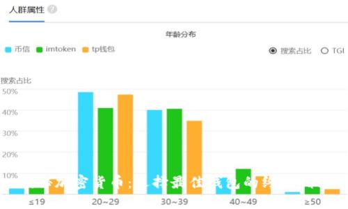 揭秘加密货币：选择最佳钱包的终极指南
