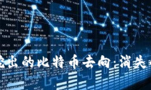 揭秘中本聪挖出的比特币去向：消失的财富与谜团