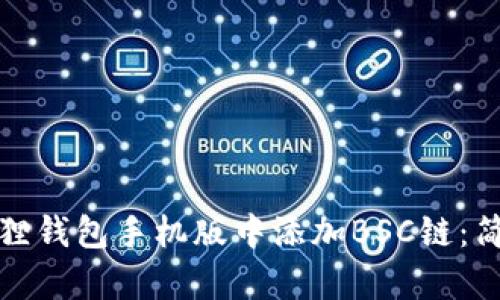 如何在小狐狸钱包手机版中添加BSC链：简单步骤详解