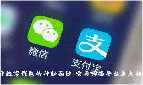 揭开数字钱包的神秘面纱：它与哪些平台息息相关？
