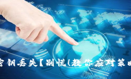 区块链钱包密钥丢失？别慌！教你应对策略与预防措施