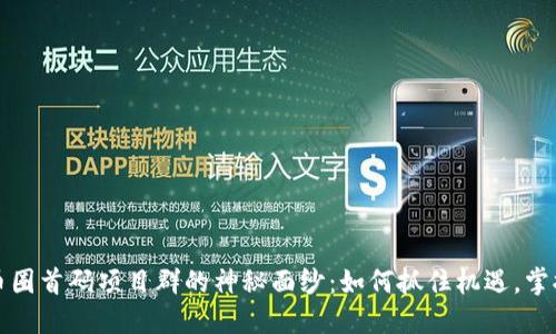 揭开币圈首码项目群的神秘面纱：如何抓住机遇，掌握未来