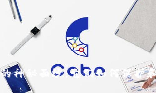 揭开加密货币钱包的神秘面纱：它们如何保护和管理您的数字资产