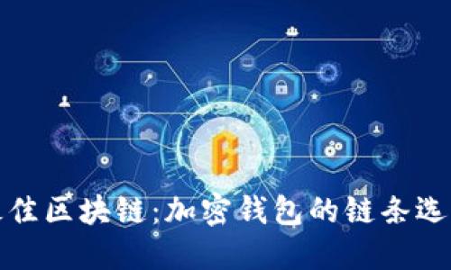 选择最佳区块链：加密钱包的链条选择指南