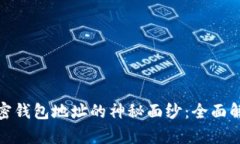 : 揭开美国加密钱包地址的神秘面纱：全面解析与