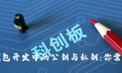 揭秘区块链钱包开发中的公钥与私钥：你需要知