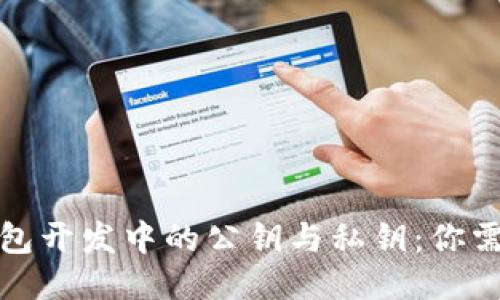 揭秘区块链钱包开发中的公钥与私钥：你需要知道的一切