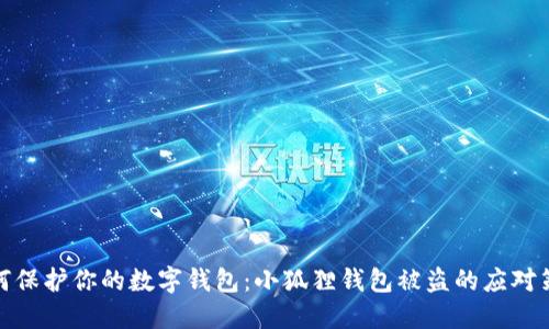 如何保护你的数字钱包：小狐狸钱包被盗的应对策略
