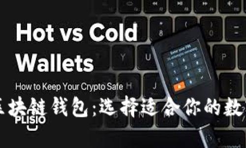 深入探讨各类区块链钱包：选择适合你的数字资产存储方式
