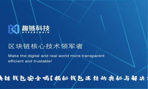 区块链钱包安全吗？揭秘钱包冻结的奥秘与解决方案