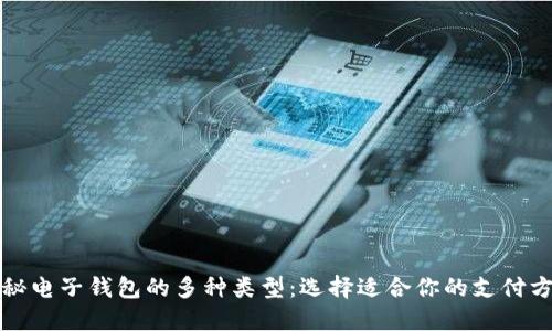 揭秘电子钱包的多种类型：选择适合你的支付方式
