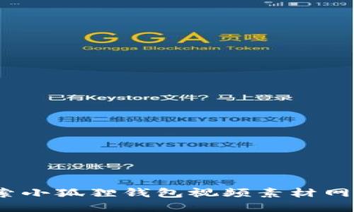 释放创意！探索小狐狸钱包视频素材网站的无限可能