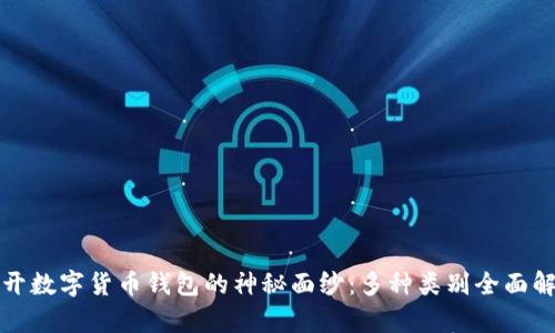 揭开数字货币钱包的神秘面纱：多种类别全面解析