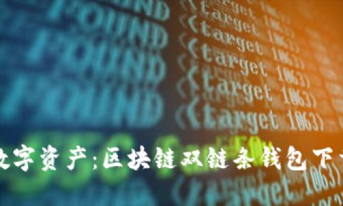 轻松掌控数字资产：区块链双链条钱包下载安装指南
